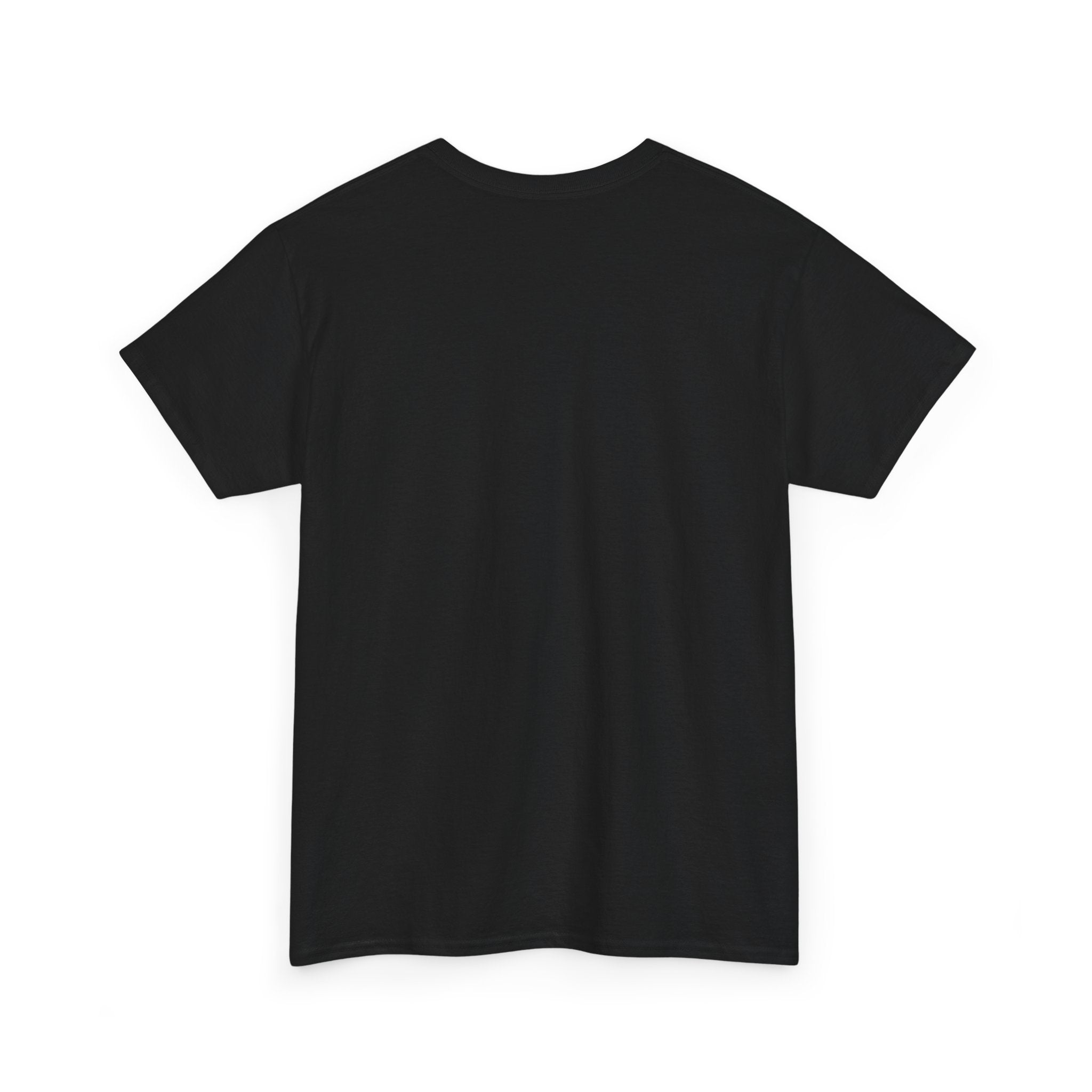 Aquarius Unisex Heavy Cotton Tee, Astrology Shirt, Zodiac Tee, Birthday Gift, Horoscope Apparel, Casual Wear