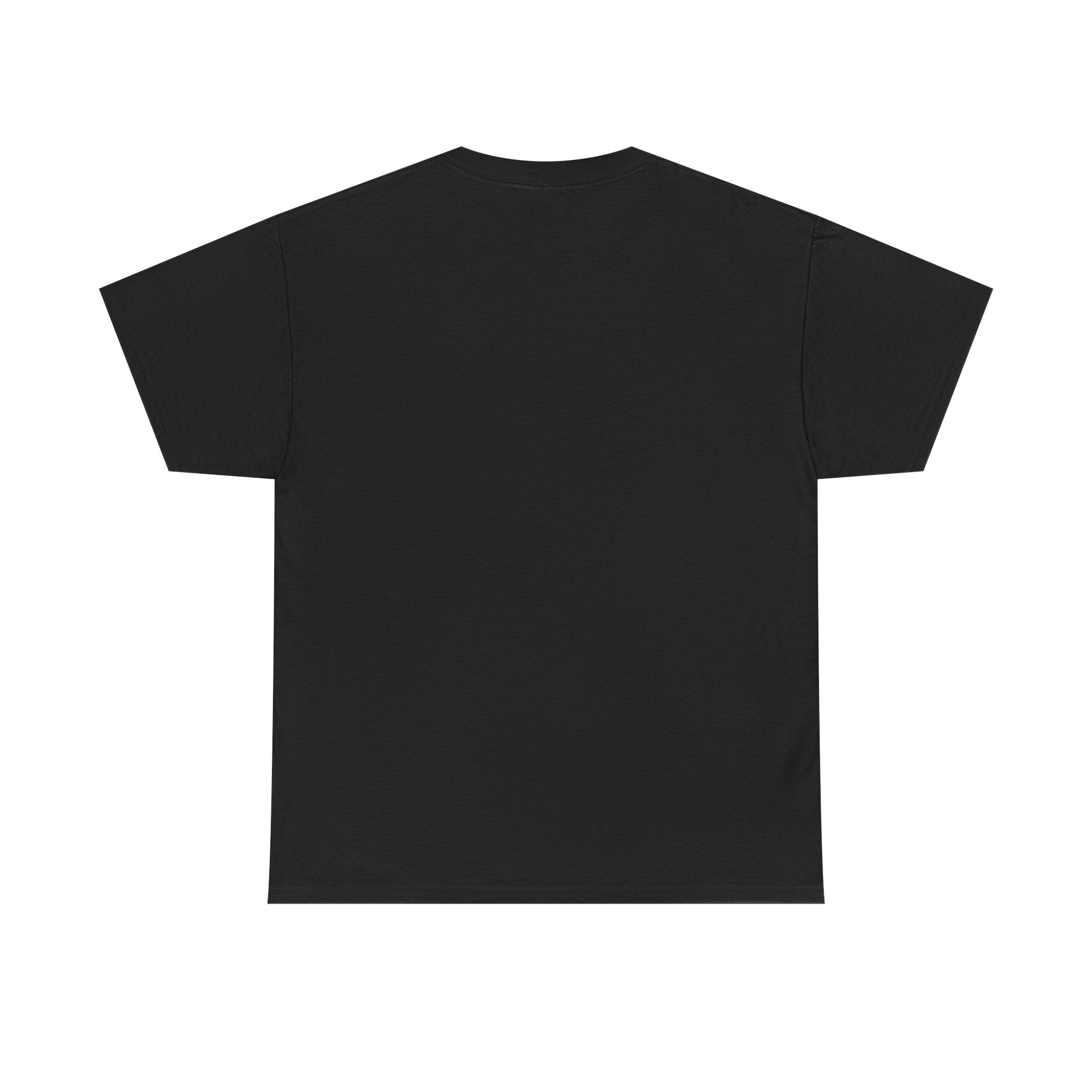 Aquarius Unisex Heavy Cotton Tee, Astrology Shirt, Zodiac Tee, Birthday Gift, Horoscope Apparel, Casual Wear