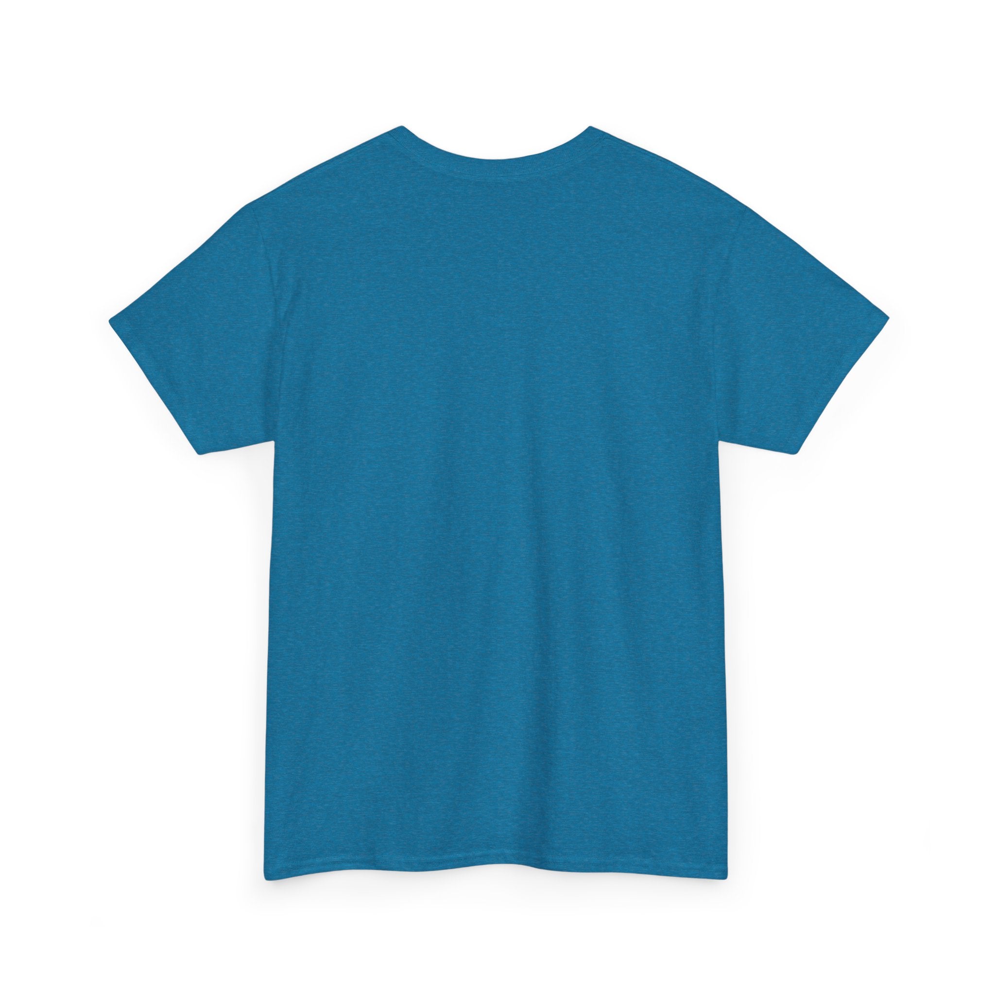 Aquarius Unisex Heavy Cotton Tee, Astrology Shirt, Zodiac Tee, Birthday Gift, Horoscope Apparel, Casual Wear