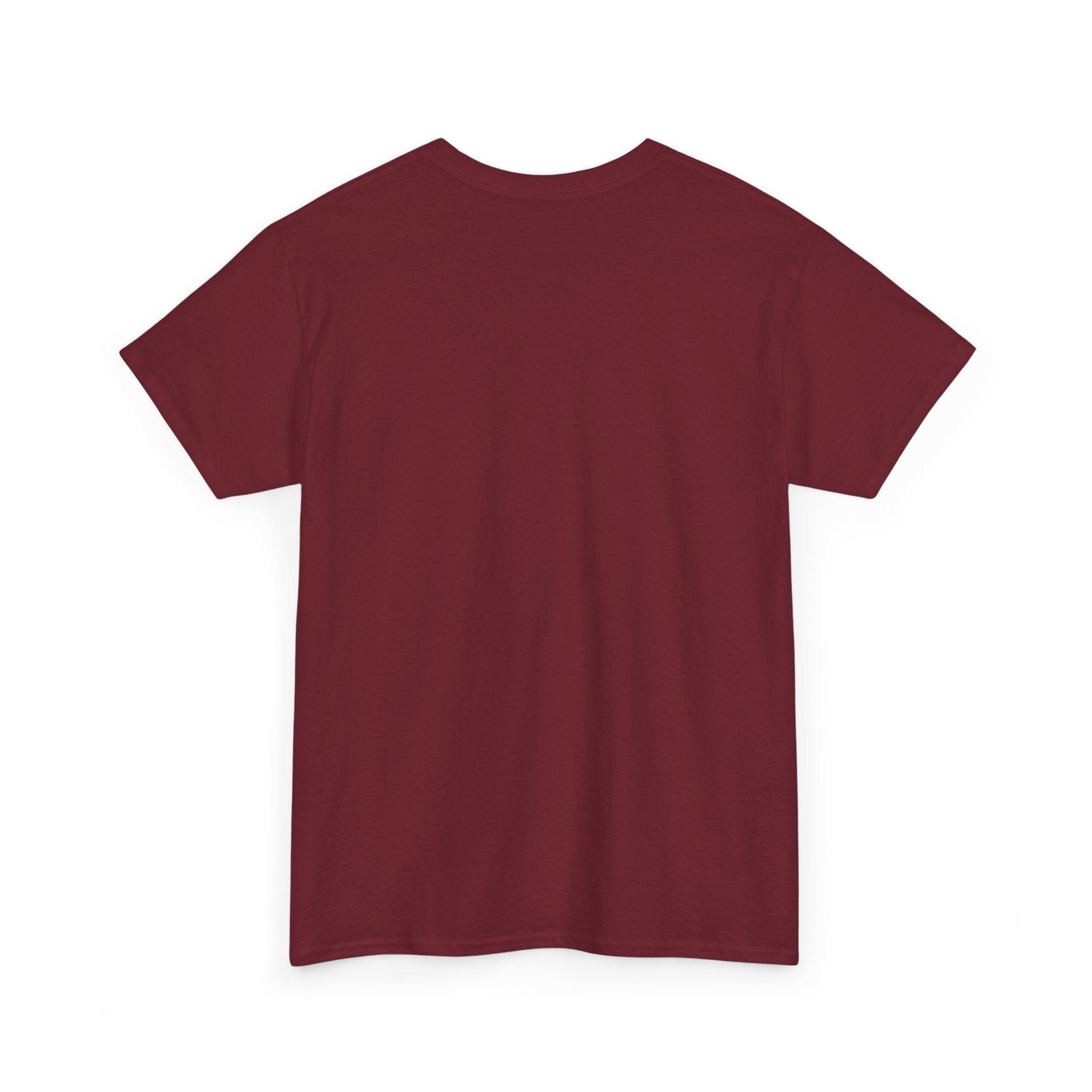 Aries Graphic Tee, Unisex Zodiac Shirt, Astrology Gift, Horoscope Apparel, Cute Astrology T-shirt, Birthday Wear