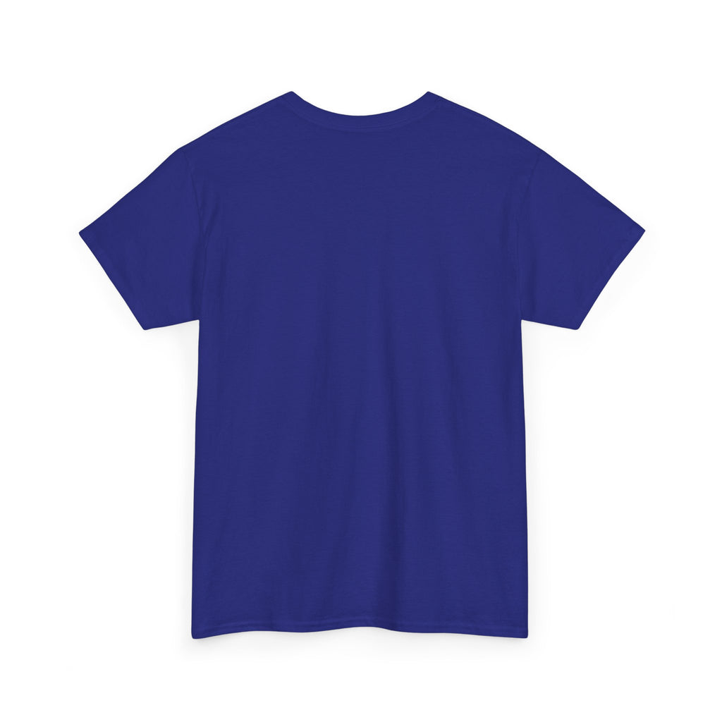 Aquarius Unisex Heavy Cotton Tee, Astrology Shirt, Zodiac Tee, Birthday Gift, Horoscope Apparel, Casual Wear