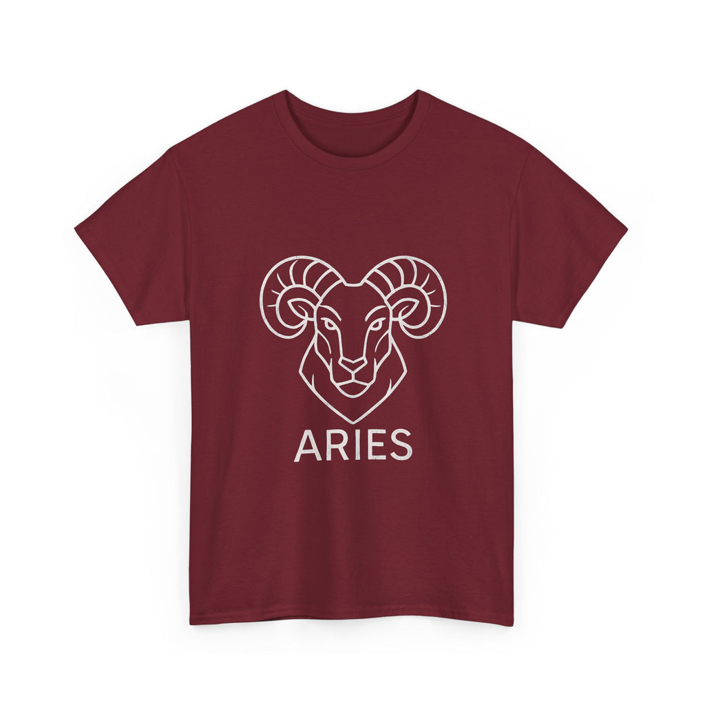 Aries Graphic Tee, Unisex Zodiac Shirt, Astrology Gift, Horoscope Apparel, Cute Astrology T-shirt, Birthday Wear