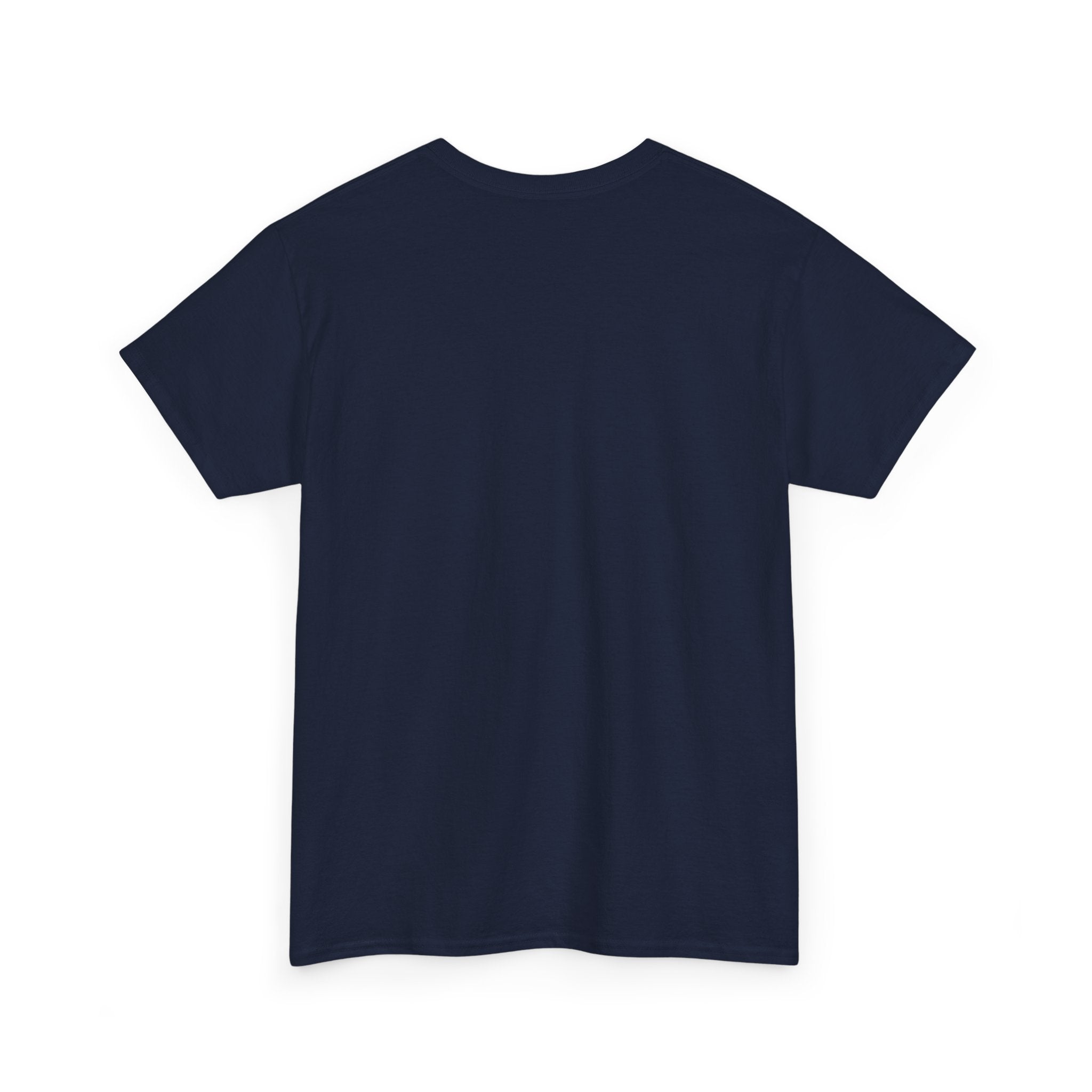 Aquarius Unisex Heavy Cotton Tee, Astrology Shirt, Zodiac Tee, Birthday Gift, Horoscope Apparel, Casual Wear