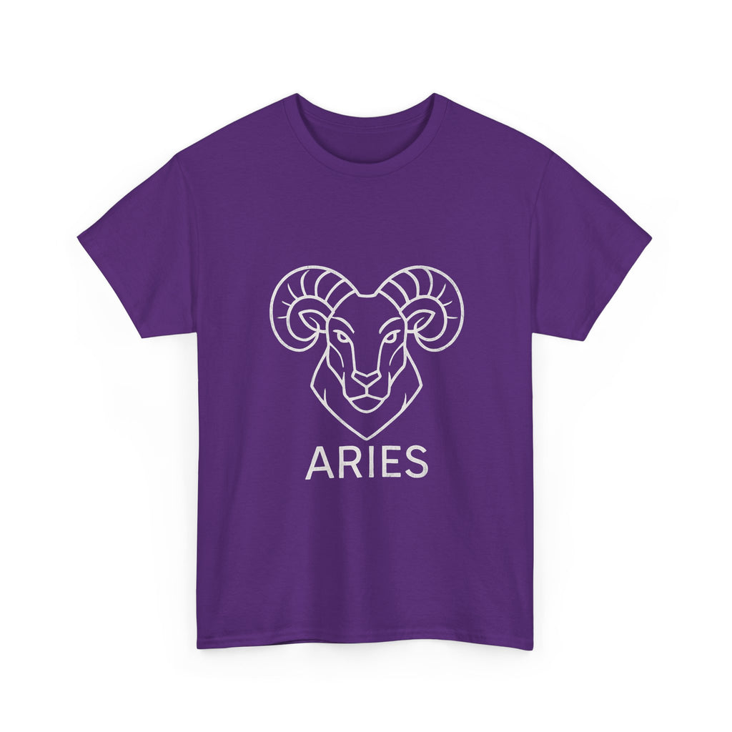 Aries Graphic Tee, Unisex Zodiac Shirt, Astrology Gift, Horoscope Apparel, Cute Astrology T-shirt, Birthday Wear