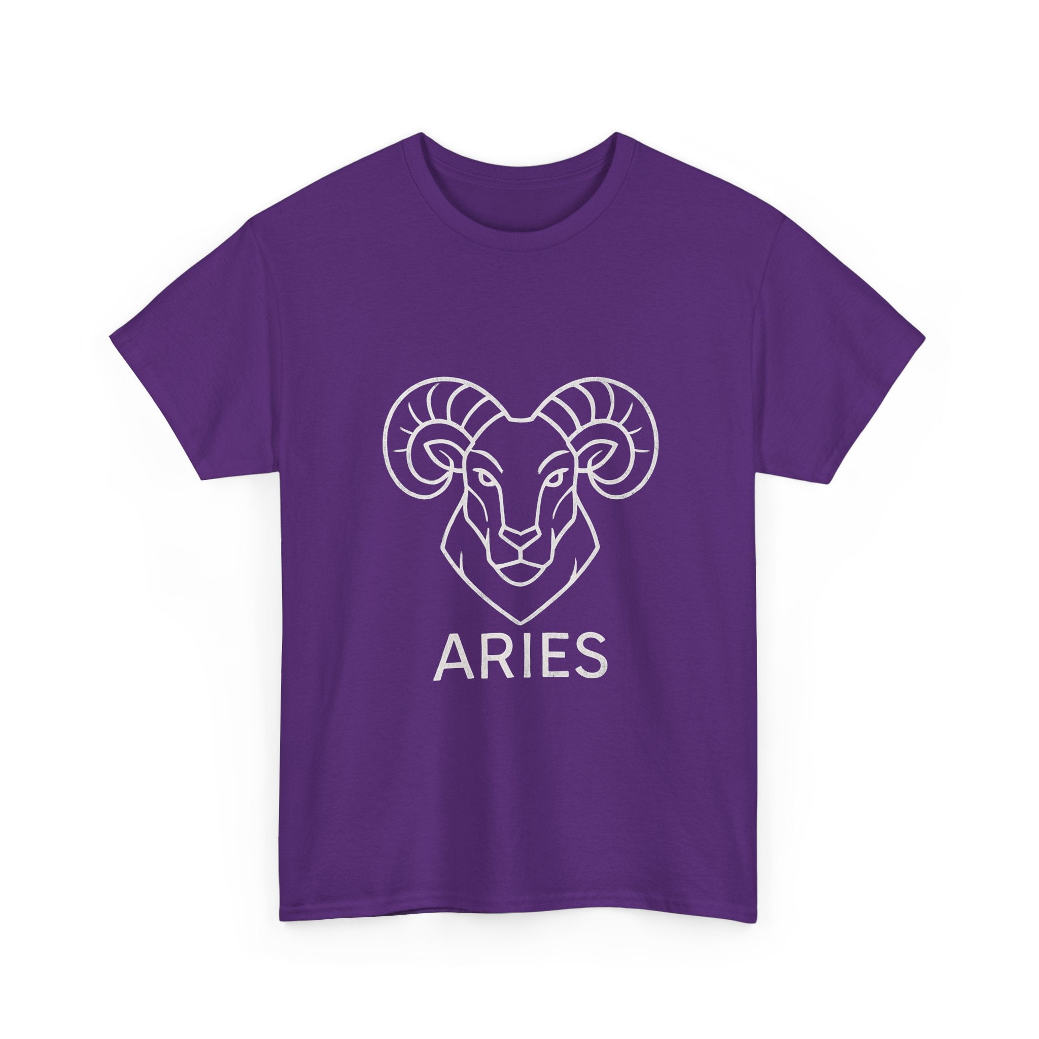 Aries Graphic Tee, Unisex Zodiac Shirt, Astrology Gift, Horoscope Apparel, Cute Astrology T-shirt, Birthday Wear