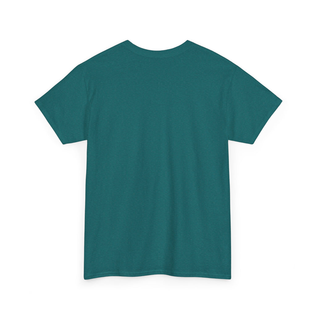 Aquarius Unisex Heavy Cotton Tee, Astrology Shirt, Zodiac Tee, Birthday Gift, Horoscope Apparel, Casual Wear