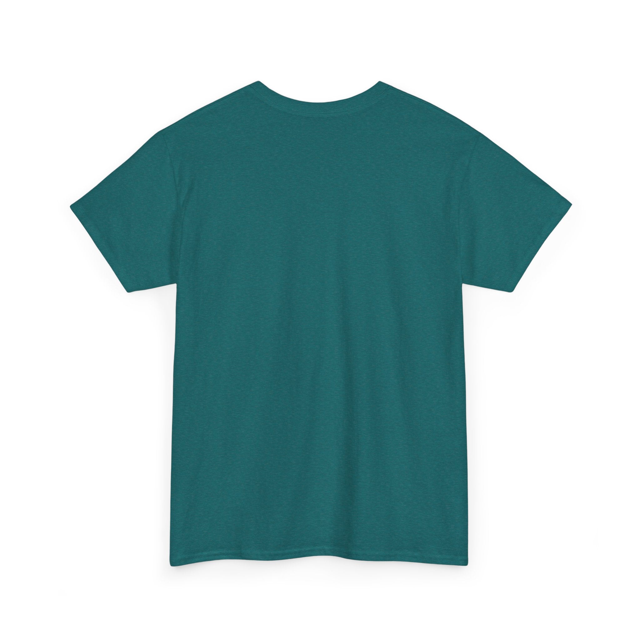 Aquarius Unisex Heavy Cotton Tee, Astrology Shirt, Zodiac Tee, Birthday Gift, Horoscope Apparel, Casual Wear