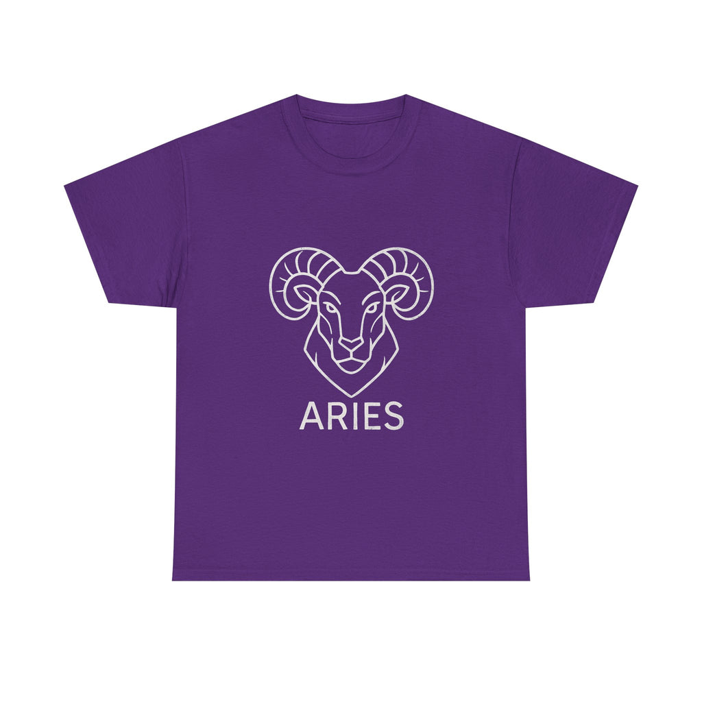 Aries Graphic Tee, Unisex Zodiac Shirt, Astrology Gift, Horoscope Apparel, Cute Astrology T-shirt, Birthday Wear