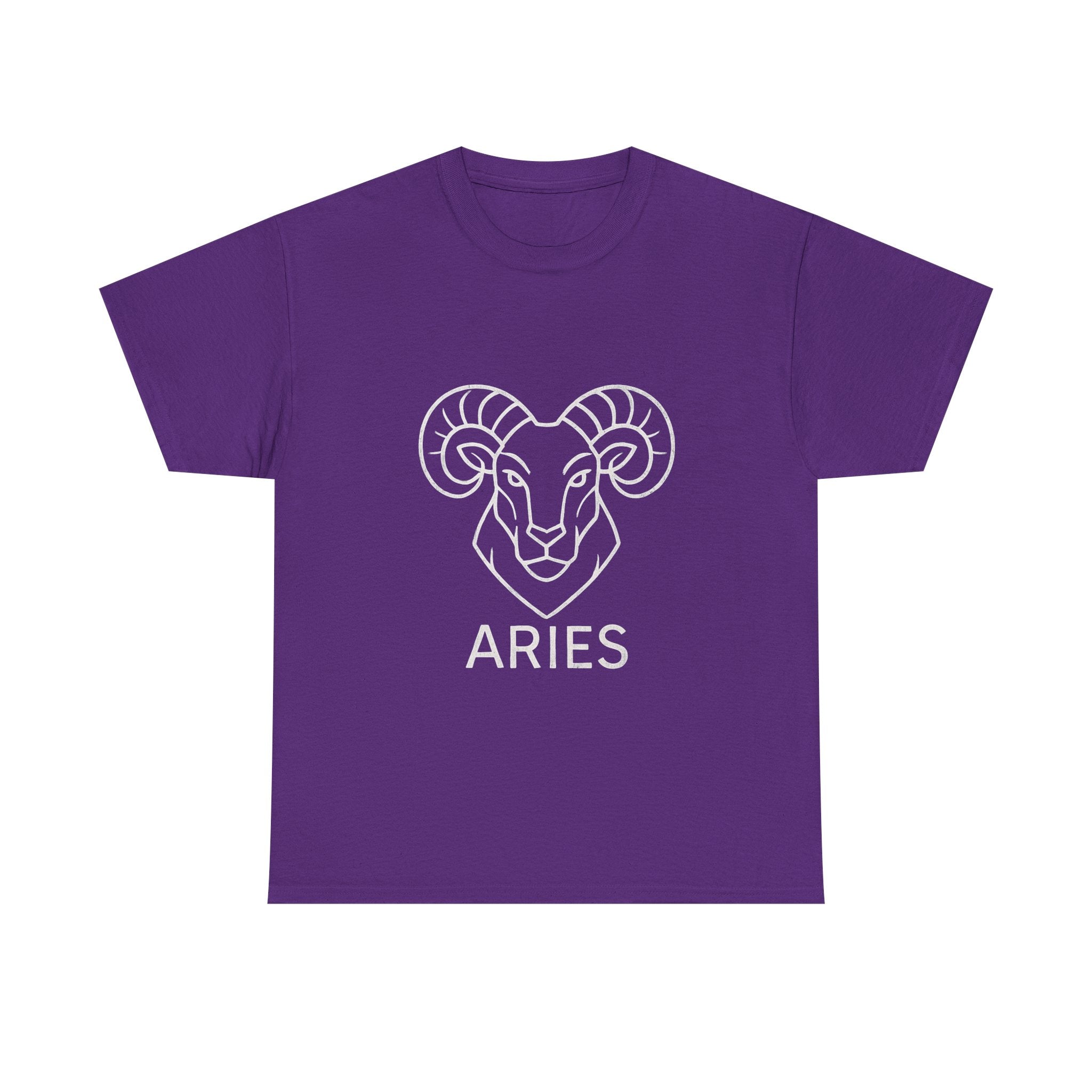 Aries Graphic Tee, Unisex Zodiac Shirt, Astrology Gift, Horoscope Apparel, Cute Astrology T-shirt, Birthday Wear