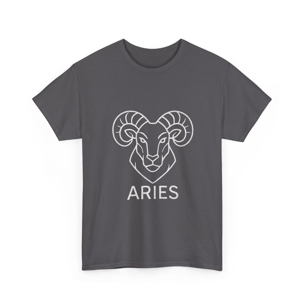 Aries Graphic Tee, Unisex Zodiac Shirt, Astrology Gift, Horoscope Apparel, Cute Astrology T-shirt, Birthday Wear